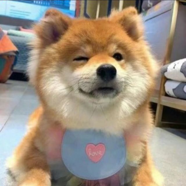 梦涵LOVE-1.jpg